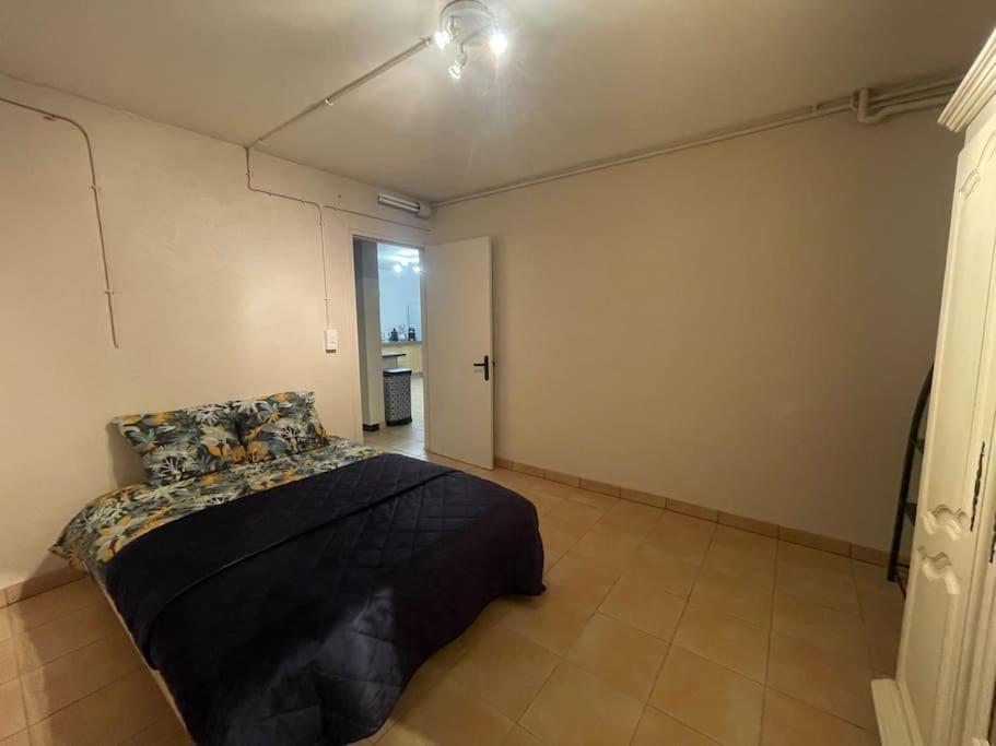 Appartement Independant En Rdc Chez Habitant Lannemezan Exterior foto